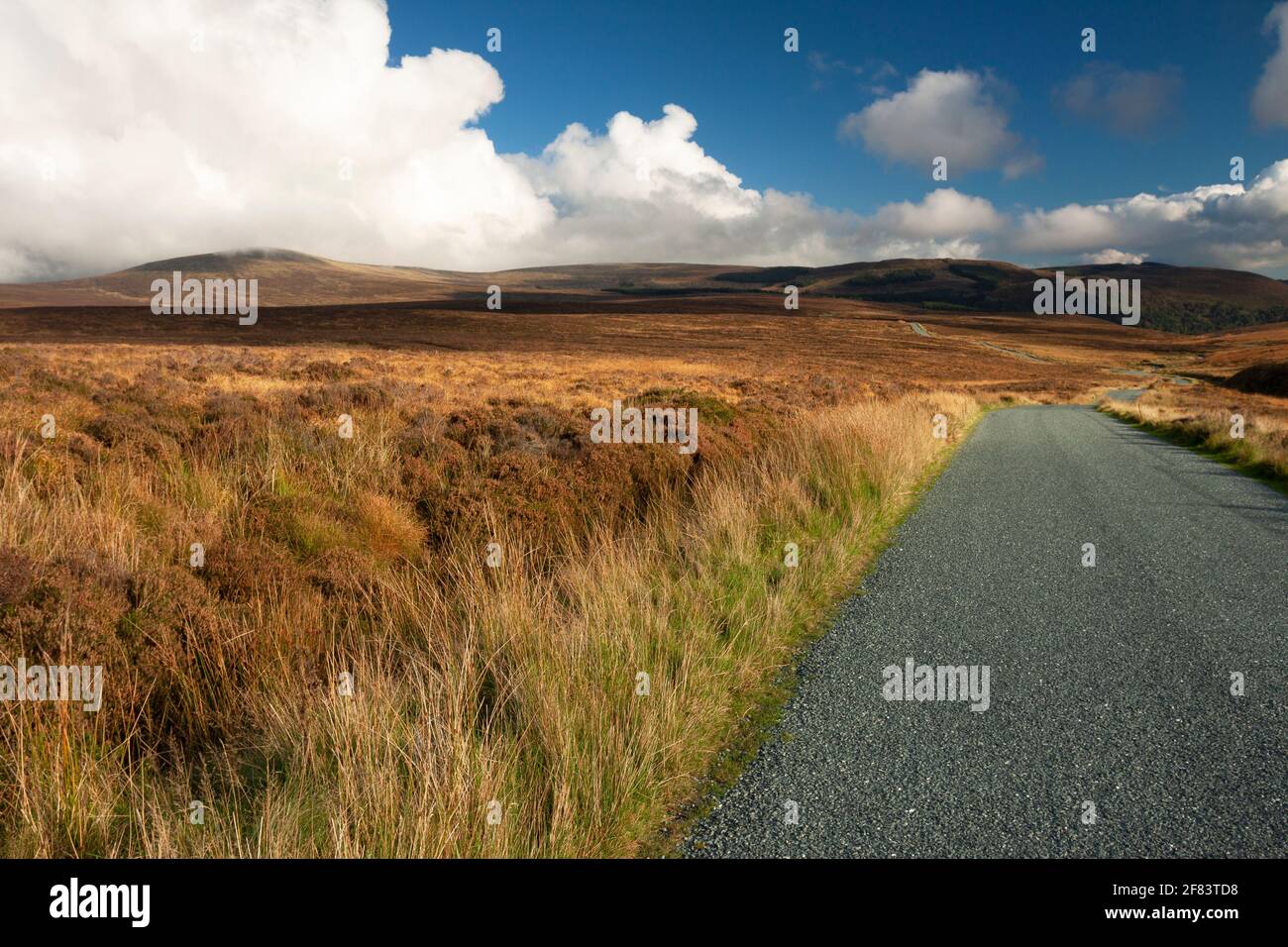 Wicklow Nationalpark in Irland Stockfoto