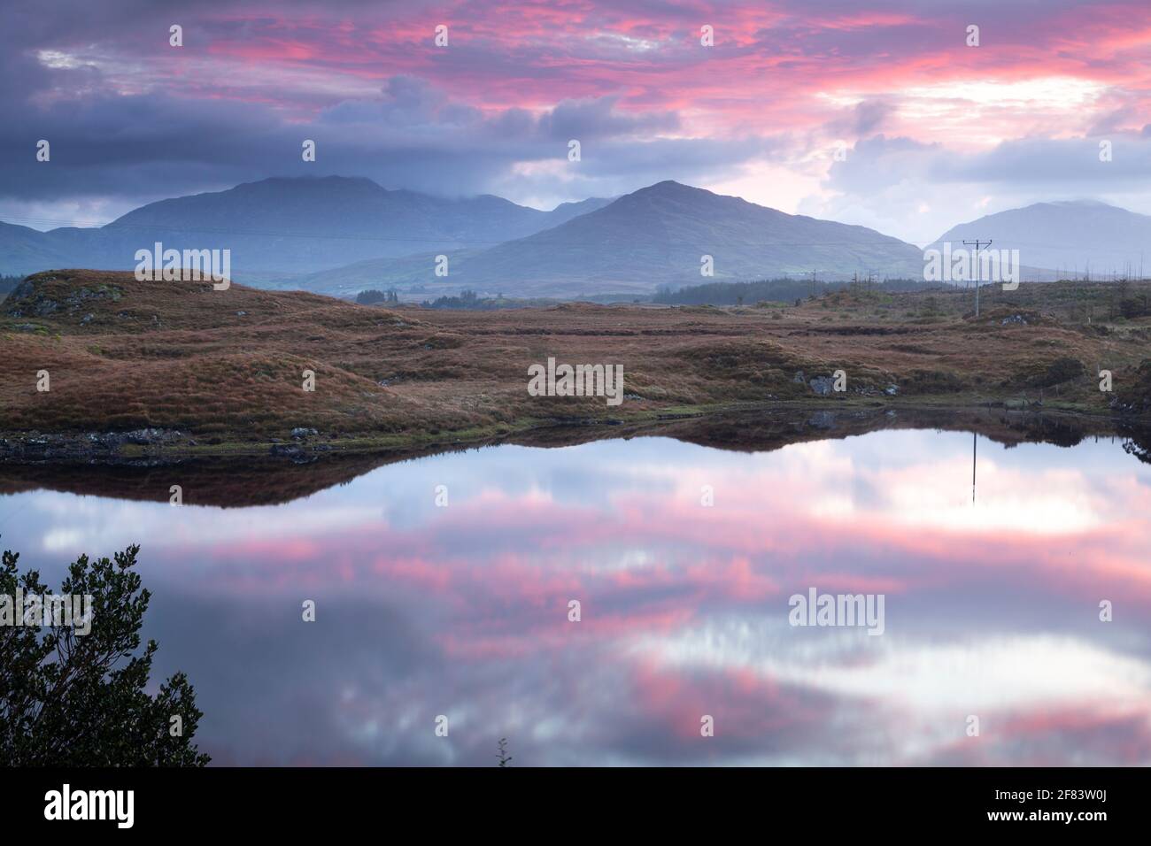 Rand des Derrylare lough und die zwölf Bens Berge in Connemara in Galway in Irland bei Sonnenaufgang Stockfoto
