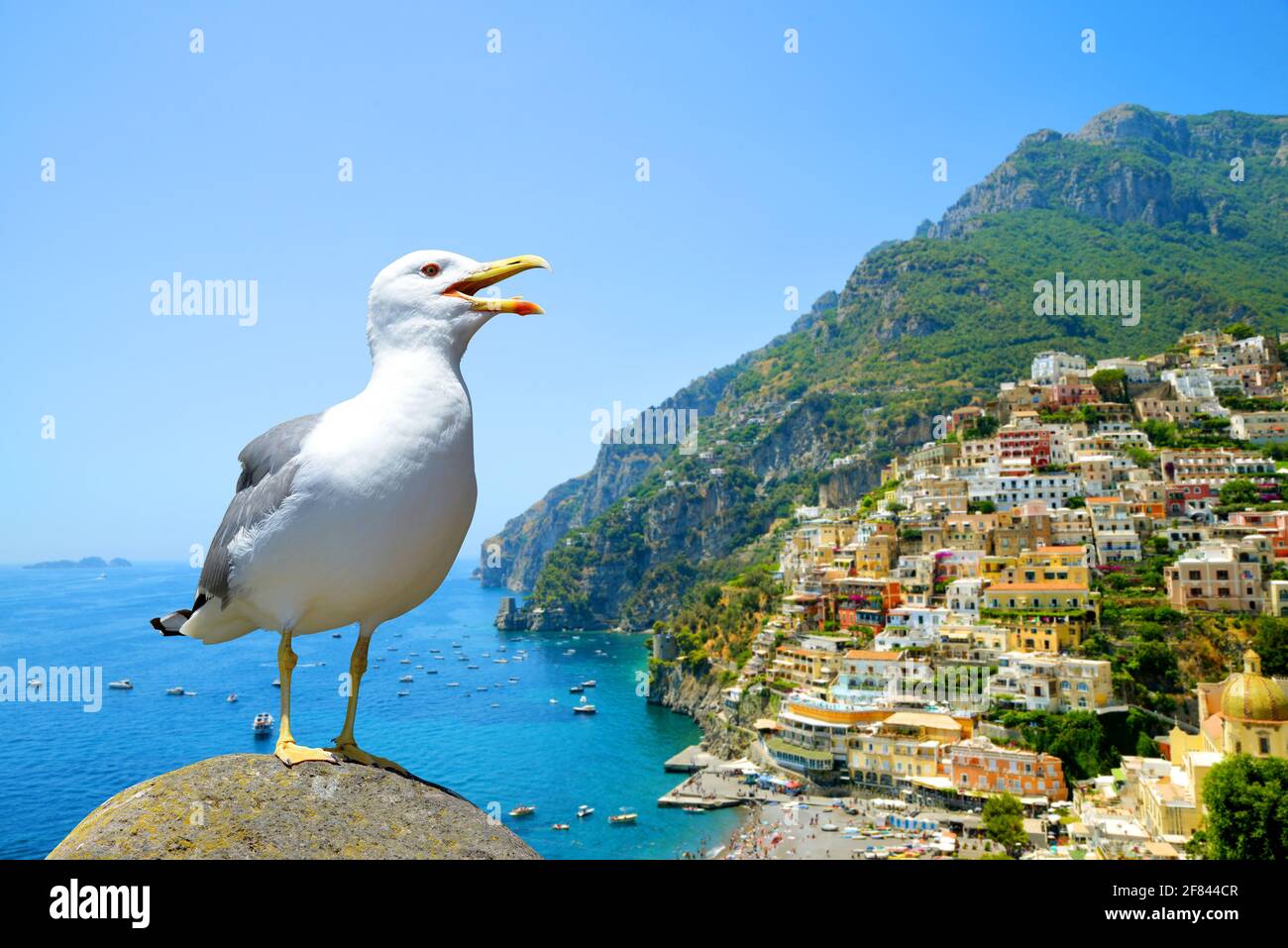 Möwe steht auf Stein in der Hintergrundstadt Positano an der Amalfiküste, Region Kampanien, Italien. Stockfoto