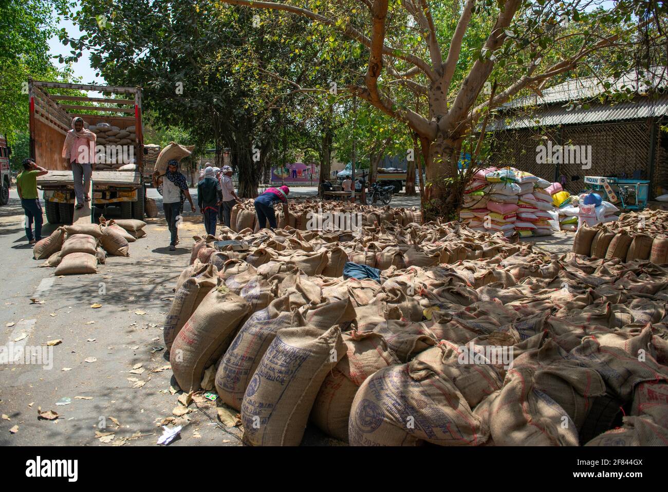 Ghaziabad, Indien. April 2021. Ein Blick auf Naveen anaaj mandi (New Grain Market) in Ghaziabad.die Landesregierung hat für das laufende Geschäftsjahr 6000 Weizeneinkaufszentren in Uttar Pradesh eingerichtet. Die Zentralregierung hat den MSP (Minimum Support Price) für Weizen um Rupien 50 erhöht, um 1975 Rupien pro 100 Kilogramm für das Jahr 2021-22 festzulegen. (Foto von Pradeep Gaur/SOPA Images/Sipa USA) Quelle: SIPA USA/Alamy Live News Stockfoto