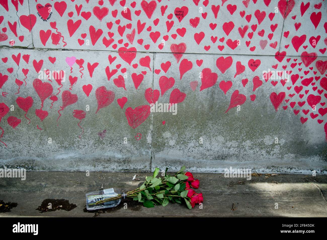 Southbank, London, England, Großbritannien. National Covid Memorial Wall. Rote Herzen, um diejenigen zu verharmlosen, die an Covid gestorben sind. Stockfoto