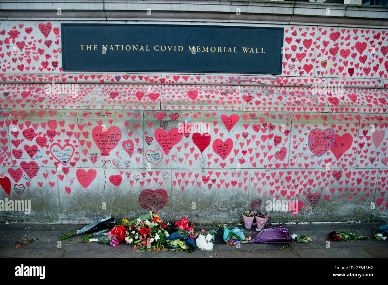 Southbank, London, England, Großbritannien. National Covid Memorial Wall. Rote Herzen, um diejenigen zu verharmlosen, die an Covid gestorben sind. Stockfoto