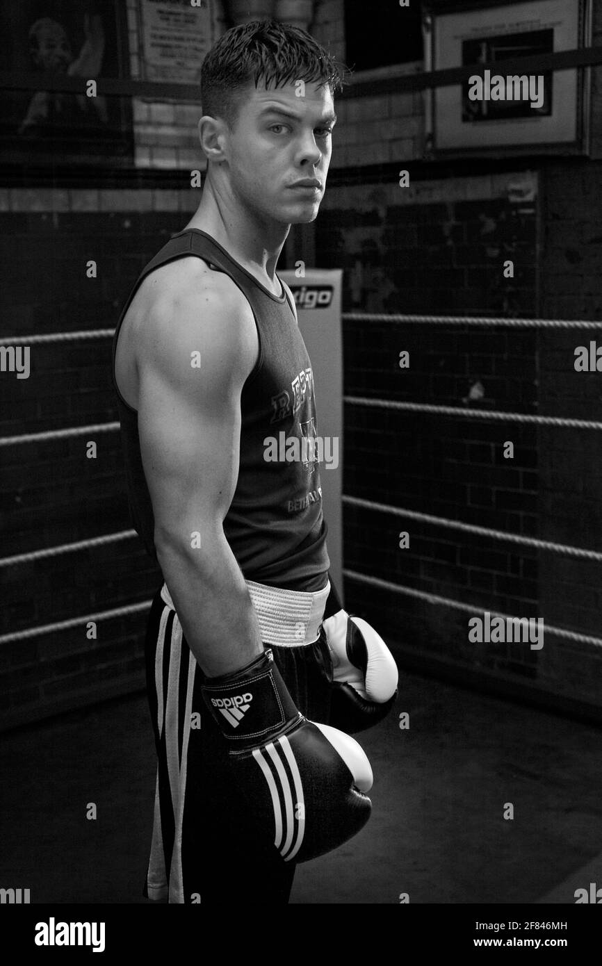 Porträt eines jungen Boxers im Boxclub. Stockfoto