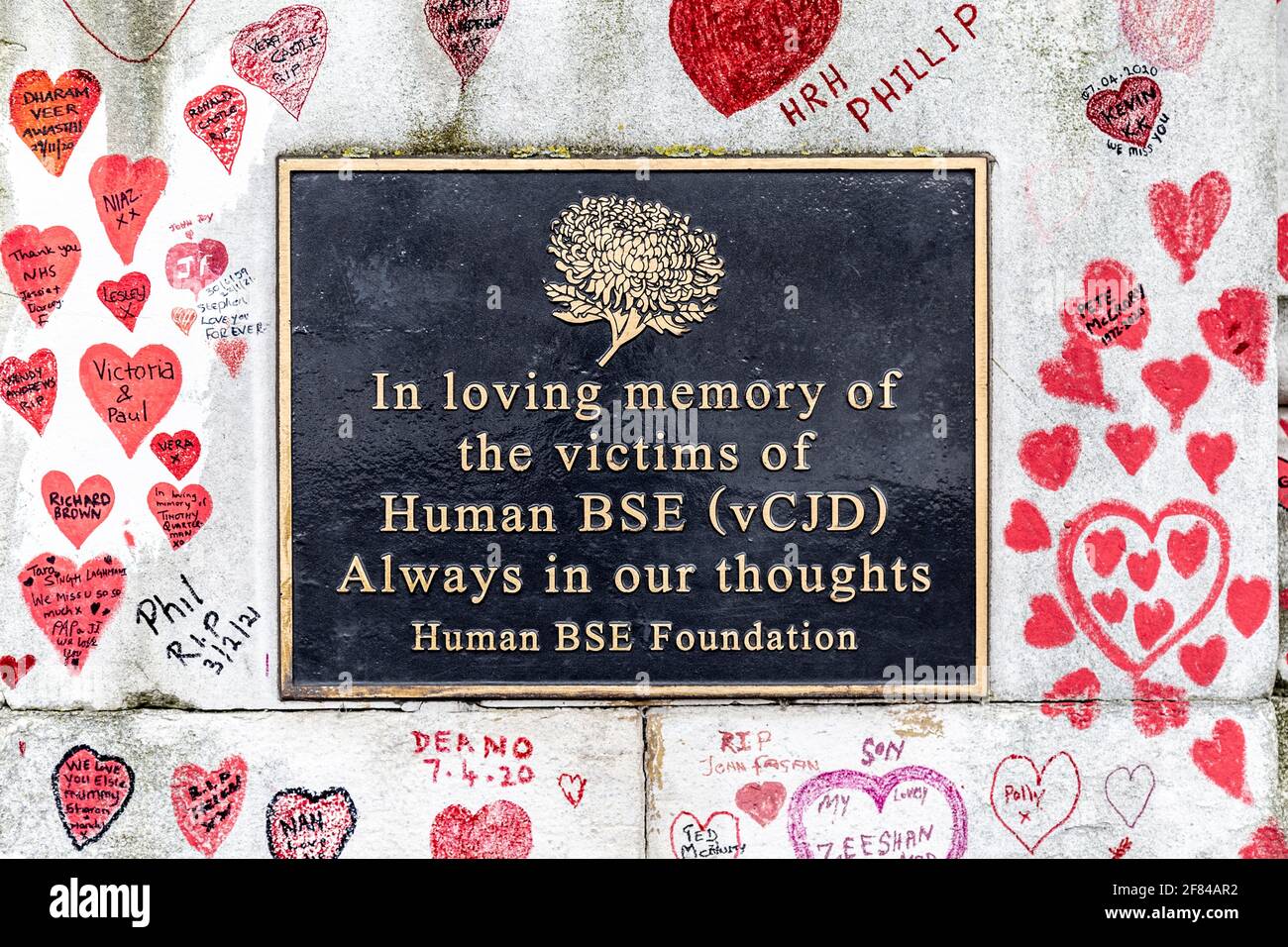 11. April 2021, London, Großbritannien - Gedenktafel an der National COVID Memorial Wall entlang des Südufers, Herzen als Hommage an diejenigen, die während der Coronavirus-Pandemie ums Leben kamen Stockfoto