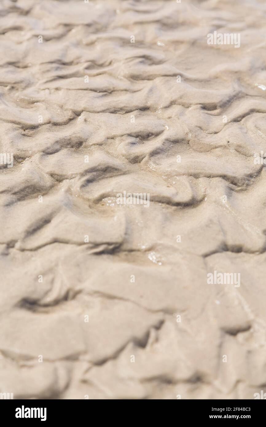 Schwingung kräuselt im Sand, Sankt Peter-Ording, Schleswig-Holstein, Deutschland Stockfoto