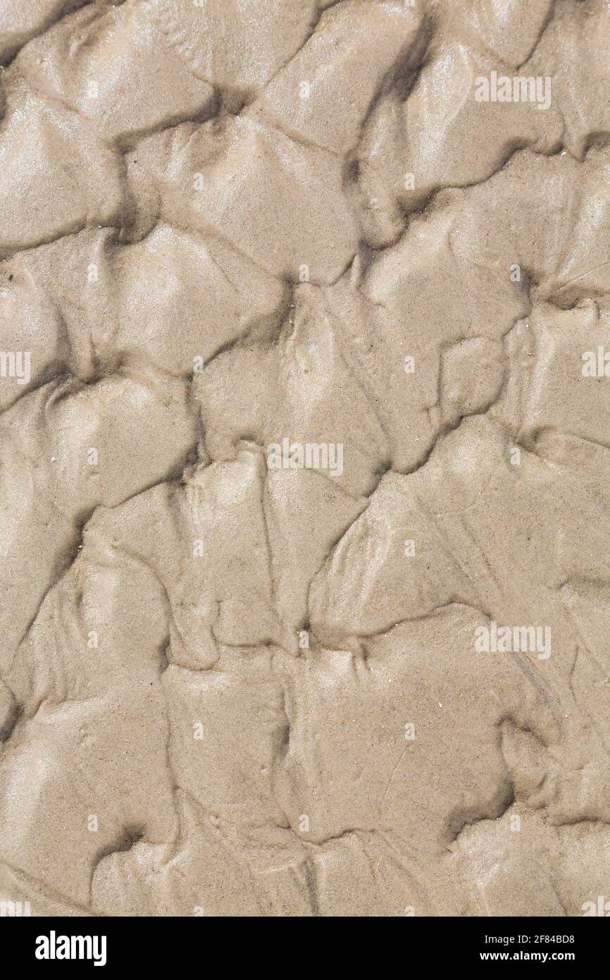 Schwingung kräuselt im Sand, Sankt Peter-Ording, Schleswig-Holstein, Deutschland Stockfoto