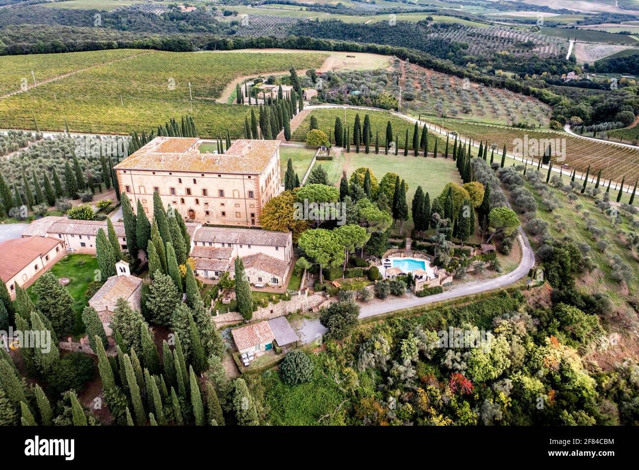 Luftaufnahme, Anwesen Antico Brunello, mit Olivenbäumen und Zypressen, Argiano, Sant'Angelo in Colle, Provinz Siena, Toskana, Italien Stockfoto
