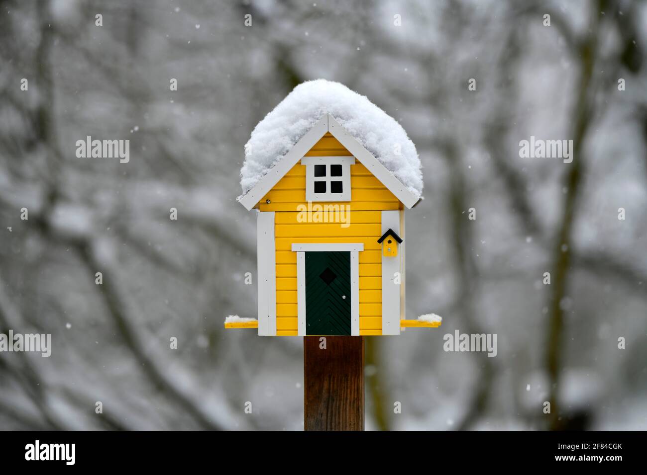 Schneebedecktes skandinavisches Vogelhaus im Winter, Stuttgart, Baden-Württemberg, Deutschland Stockfoto