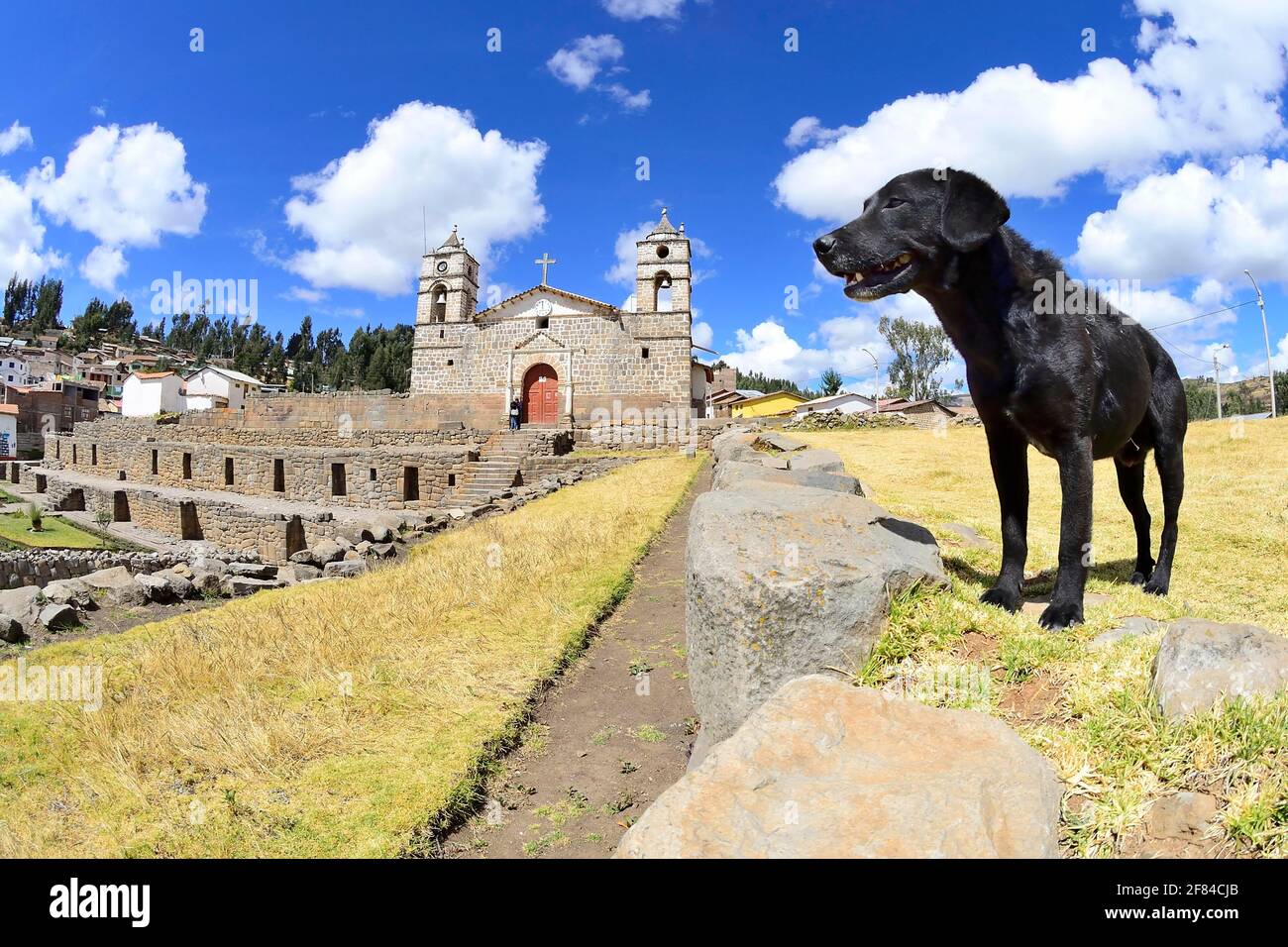 Hund an den Wänden des Inka-Tempels der Sonne mit kolonialer Kathedrale oben, Vilcashuaman, Region Ayacucho, Peru Stockfoto