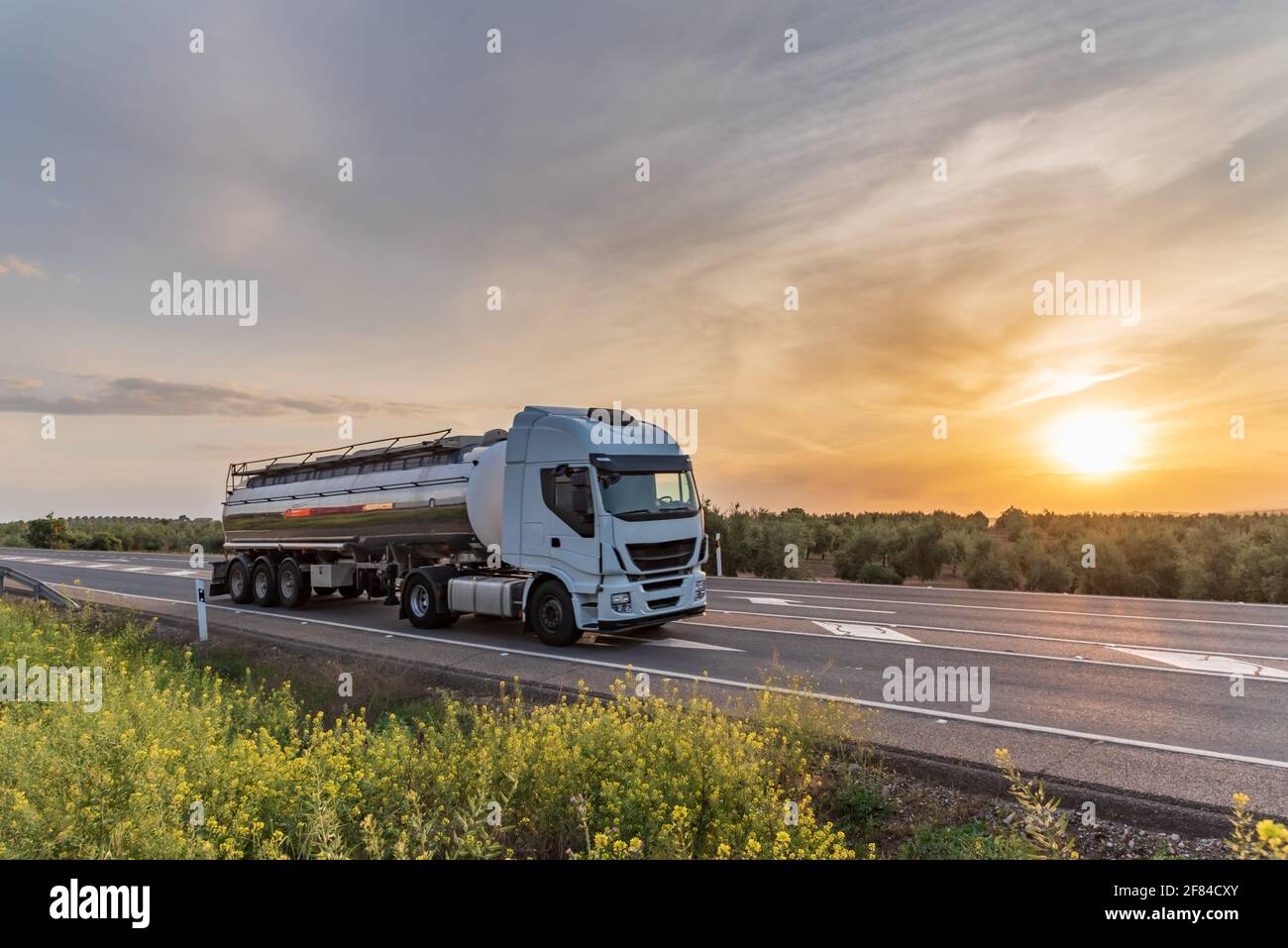 Tankwagen fr den Transport von Lebensmitteln Flssigkeiten zirkulieren auf  der Strae mit einem Feld von Olivenbumen im Hintergrund Stockfotografie -  Alamy