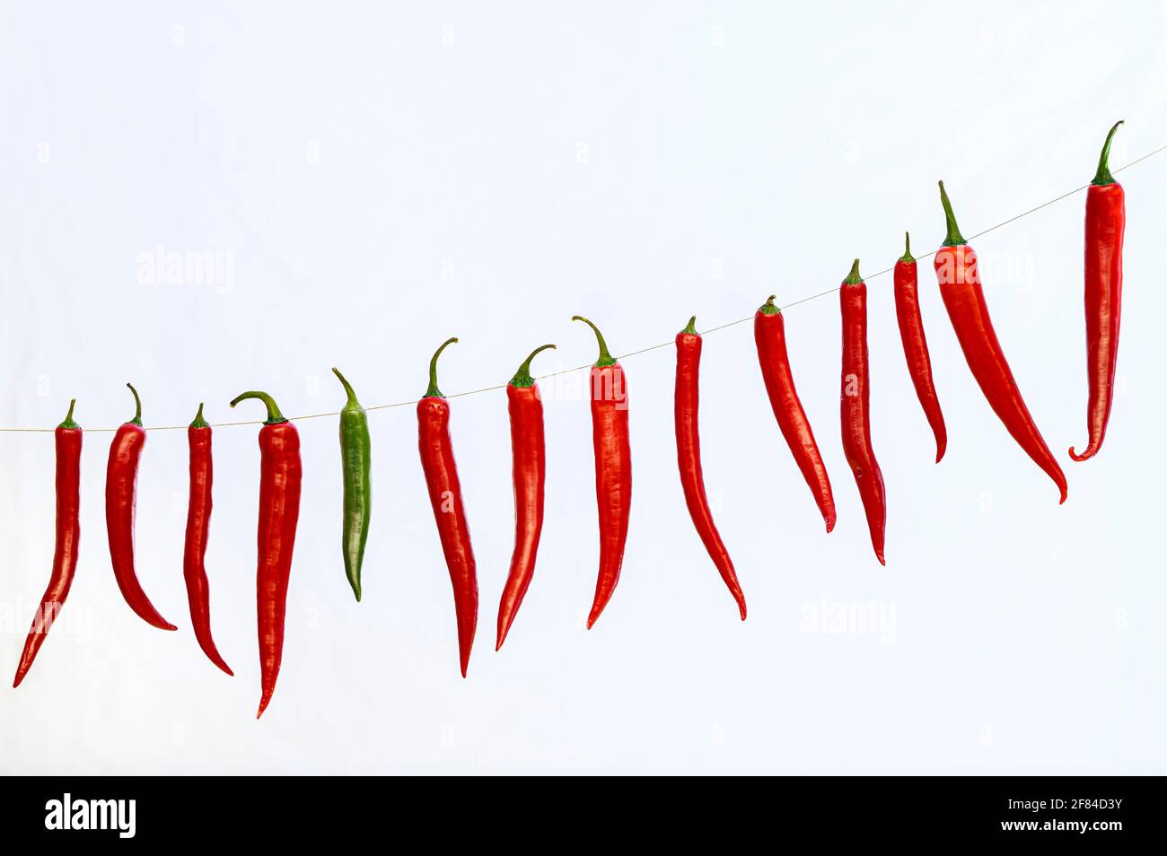 Rote und grüne Paprika an der Schnur Stockfoto