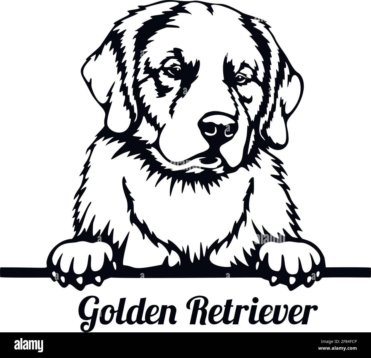 Golden Retriever Peeking Dog - Kopf isoliert auf weiß Stock Vektor