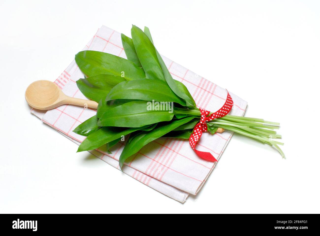 Ramsons (Allium ursinum) Blätter, Kochlöffel Stockfoto