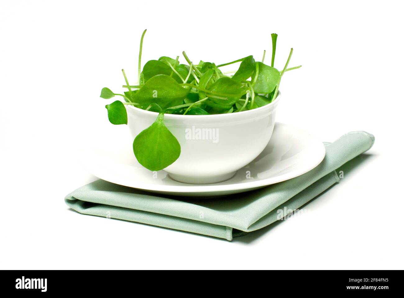 Portulaca oleracea-Salat in Schüssel, Sommer, Gewürz, Gemüse, Postelein, Buerzelkraut, Salat Stockfoto