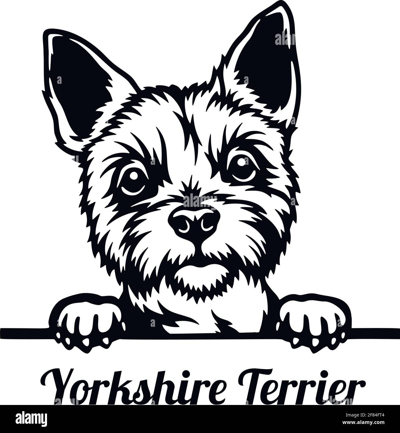 Yorkshire Terrier Peeking Dog - Kopf isoliert auf weiß Stock Vektor