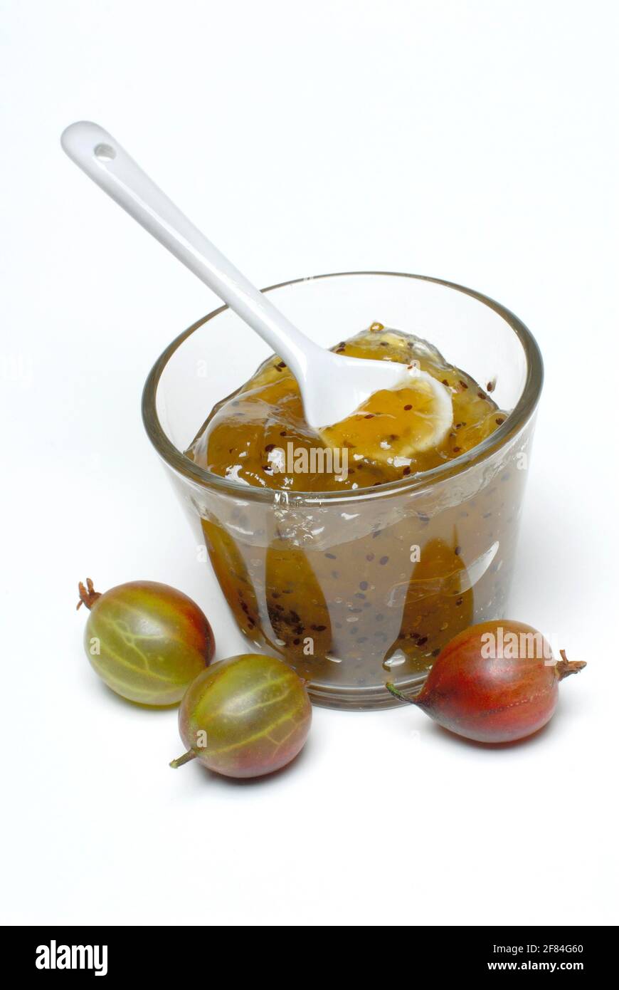 Glas Stachelbeermarmelade und Stachelbeeren (Ribes uva-Crispa), Stachelbeermarmelade, Marmelade Stockfoto