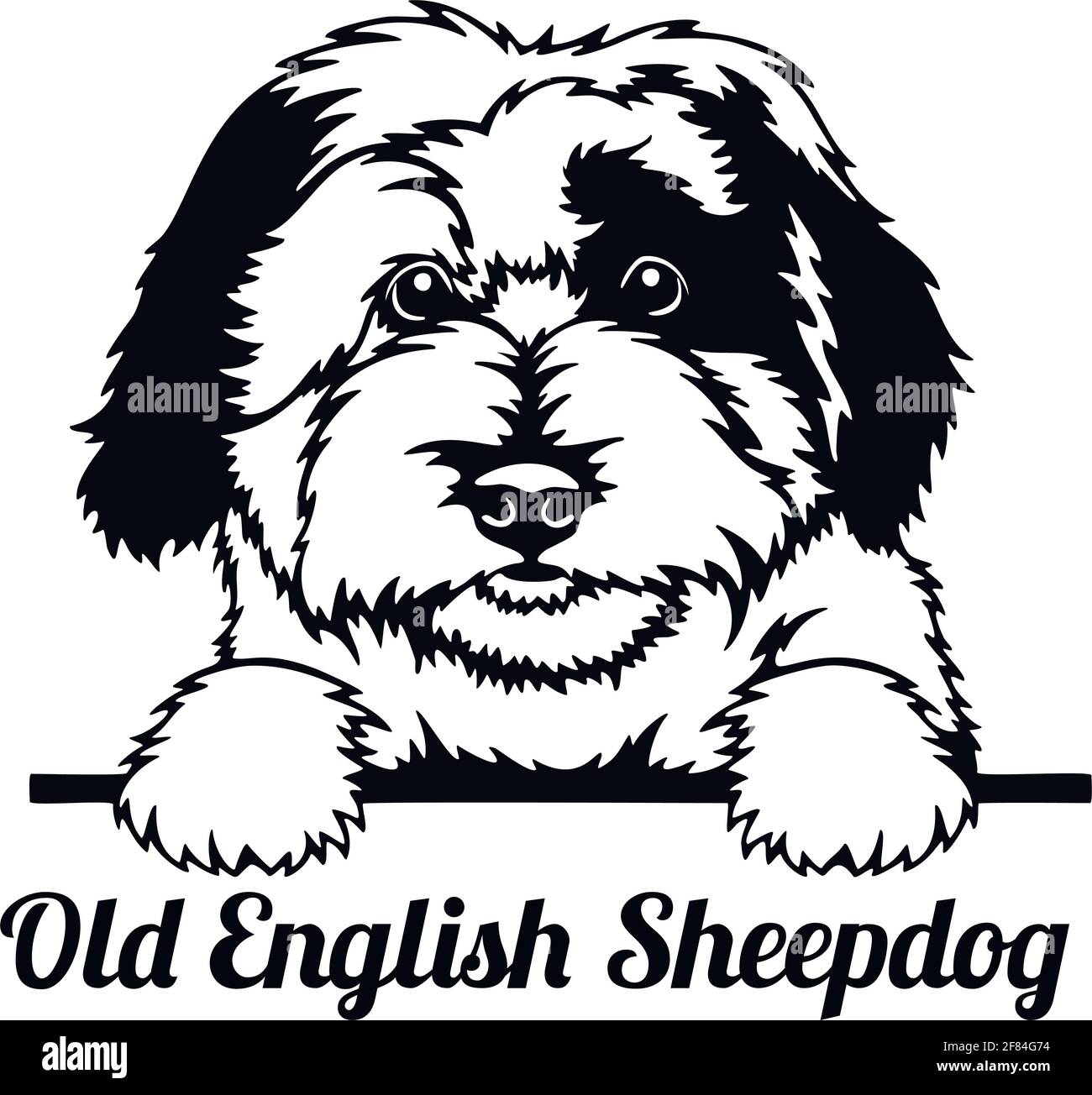 Old English Sheepdog Peeking Dog - Kopf isoliert auf weiß Stock Vektor