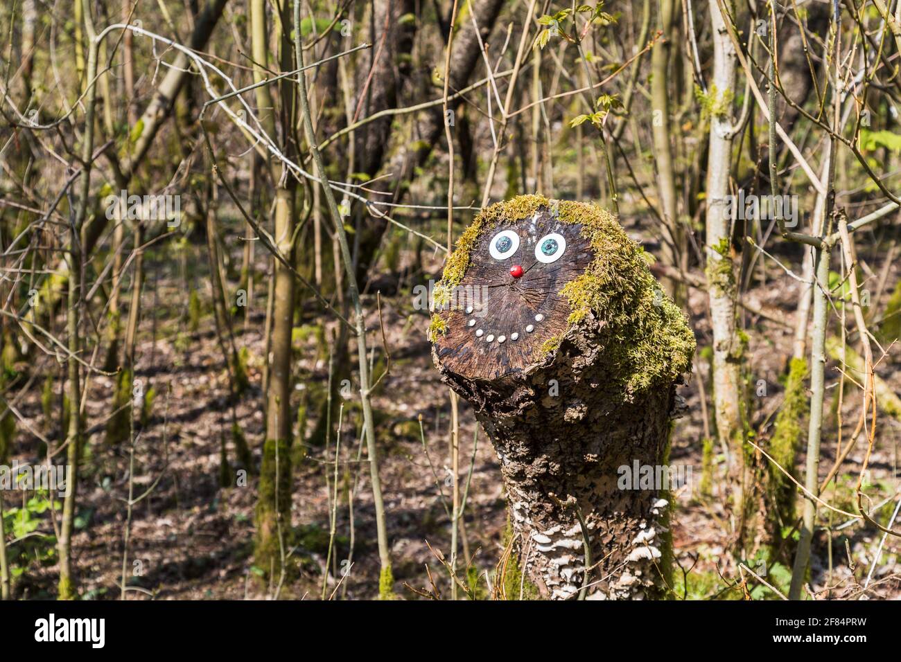 Ein lächelndes Gesicht auf einem Baumstumpf im Herzen eines verzauberten Waldes in der Nähe von Wigan in Lancashire. Stockfoto