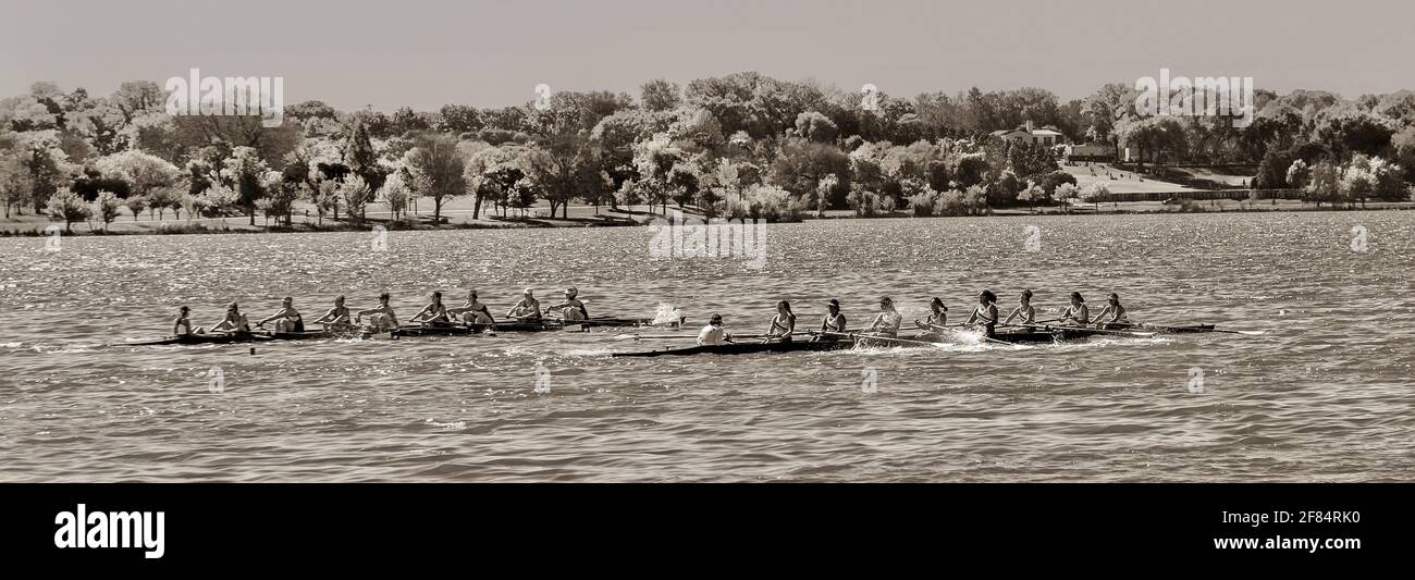 Regatta Stockfoto