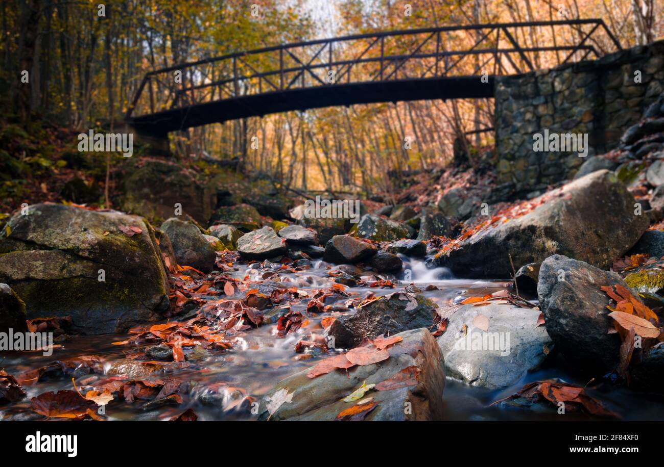 Herbstfarben und eine Brücke über den Rose River im Shenandoah National Park. Stockfoto