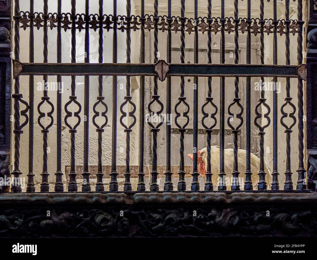 kathedrale, santo domingo de la calzada Stockfoto