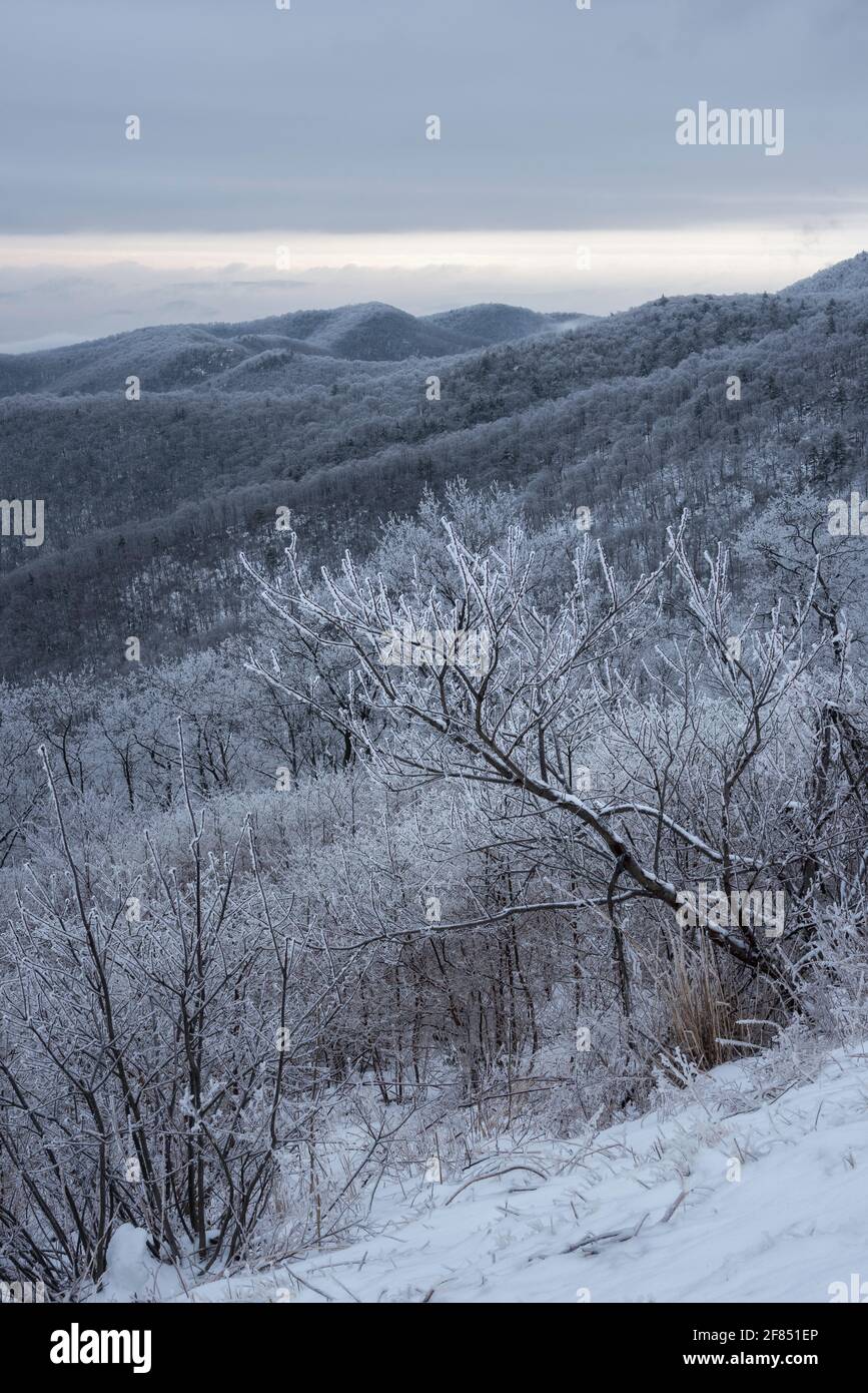 Eisiger Blick am Morgen auf den Shenandoah National Park an einem bewölkten Wintertag. Stockfoto