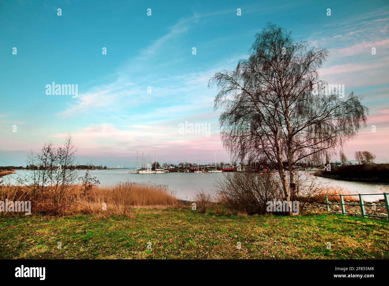 Ishoj Hafen Dänemark am späten Nachmittag Stockfoto