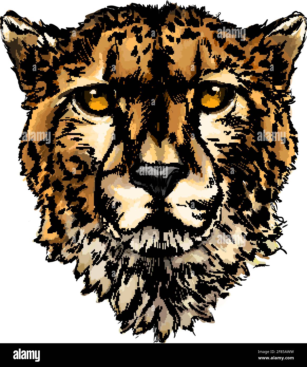 Cheetah Kopf Porträt aus einem Spritzer Aquarell, farbige Zeichnung, realistisch. Vektordarstellung von Farben Stock Vektor