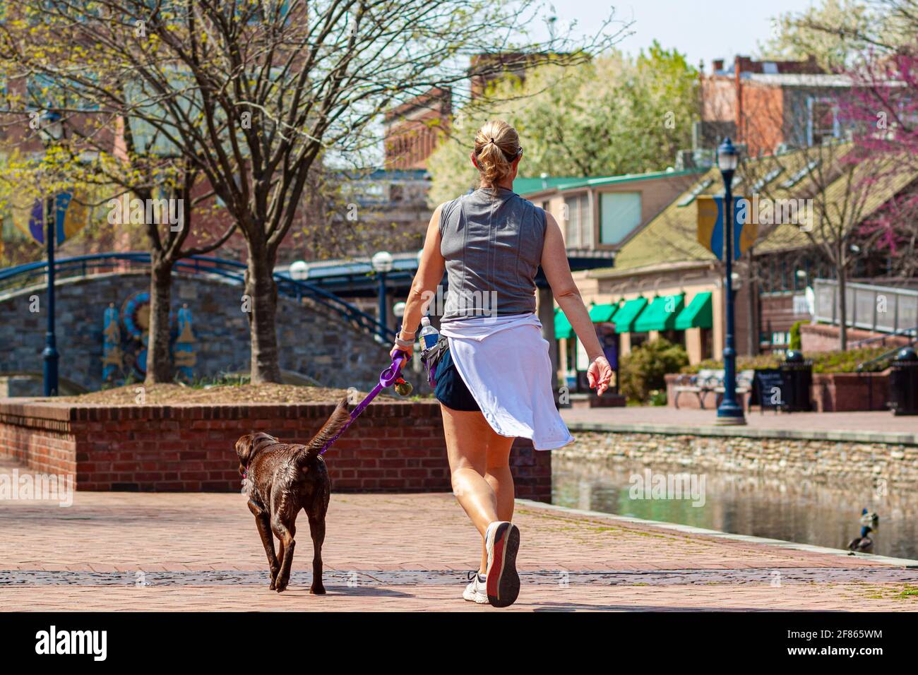 Nahaufnahme einer jungen blonden Frau, die im Park joggt, während sie ihren Hund an der Leine führt. Sie Band ihre Kleider um ihre Taille. Sie trägt Wasserbot Stockfoto