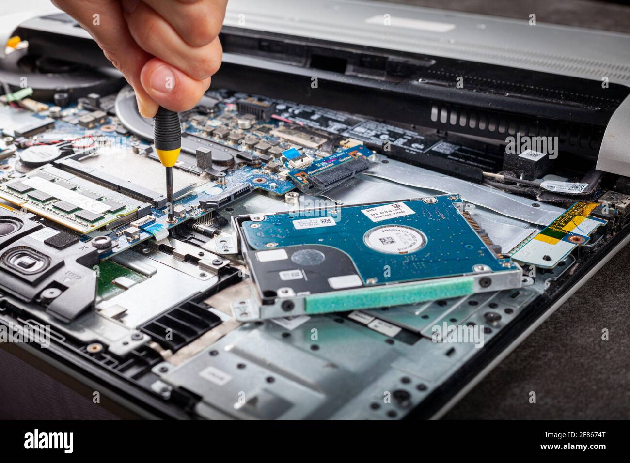 Ein Computertechniker repariert einen alten Laptop mit einem Schraubendreher. Nahaufnahme, isolierte Abbildung, die das komplexe Innere eines Laptops mit Leiterplatten zeigt Stockfoto