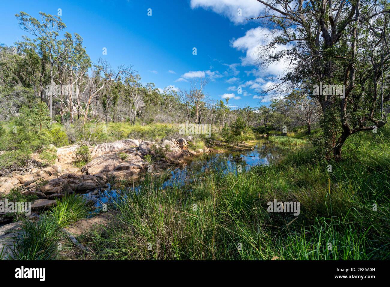 Crows Nest Creek, Crows Nest National Park, Queensland Australien Stockfoto