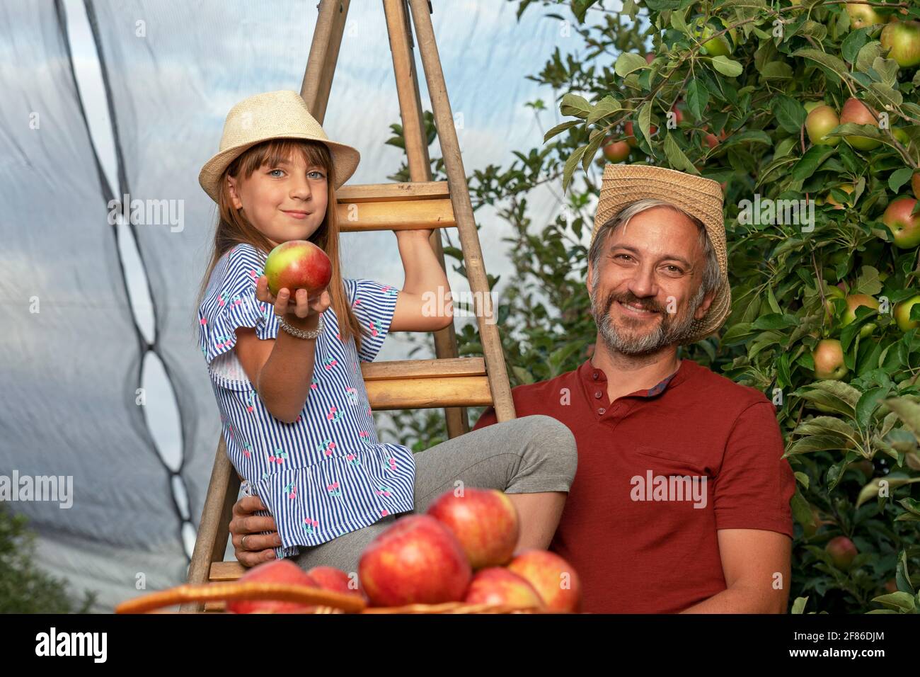 Konzept Für Gesunde Ernährung. Vater und Tochter pflücken Äpfel in einem Obstgarten. Familie Ernte Früchte im Herbst. Stockfoto