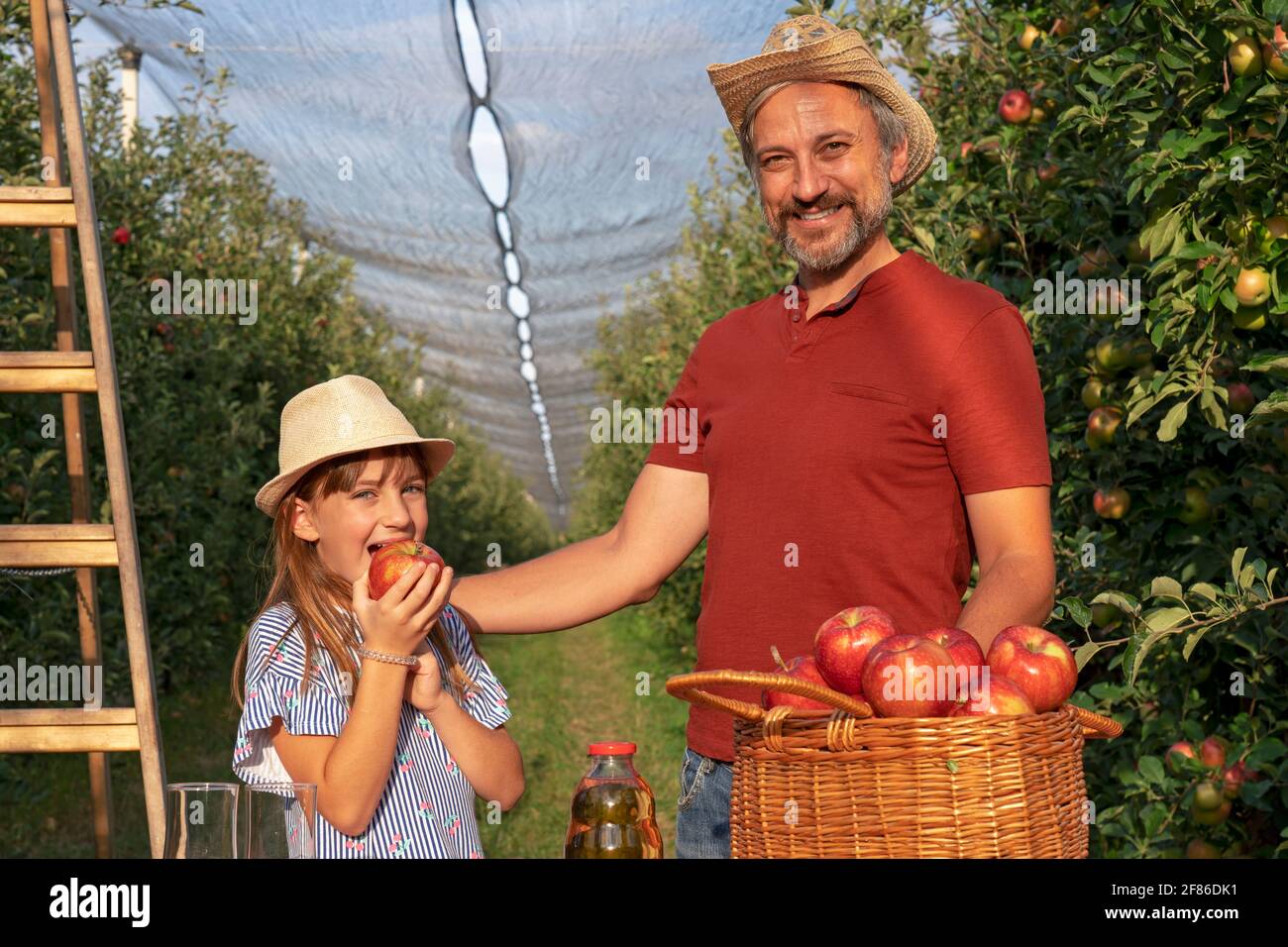 Konzept Für Gesunde Ernährung. Vater und Tochter pflücken Äpfel in einem Obstgarten. Niedliche Kleine Mädchen Essen Apfel. Stockfoto