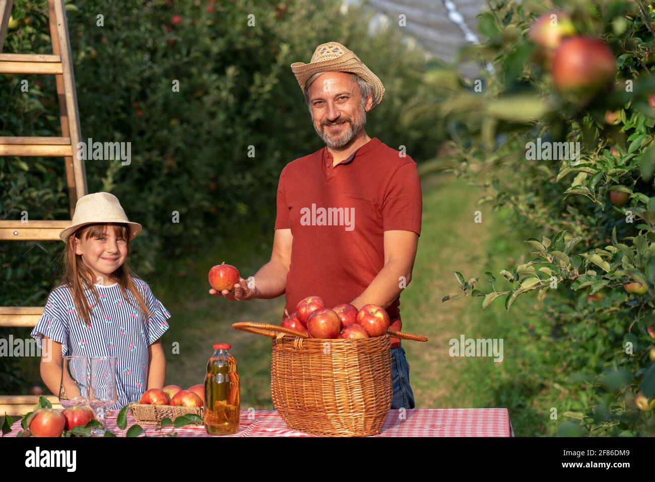 Konzept Für Gesunde Ernährung. Vater und Tochter pflücken Äpfel in einem Obstgarten. Familie Ernte Früchte im Herbst. Stockfoto