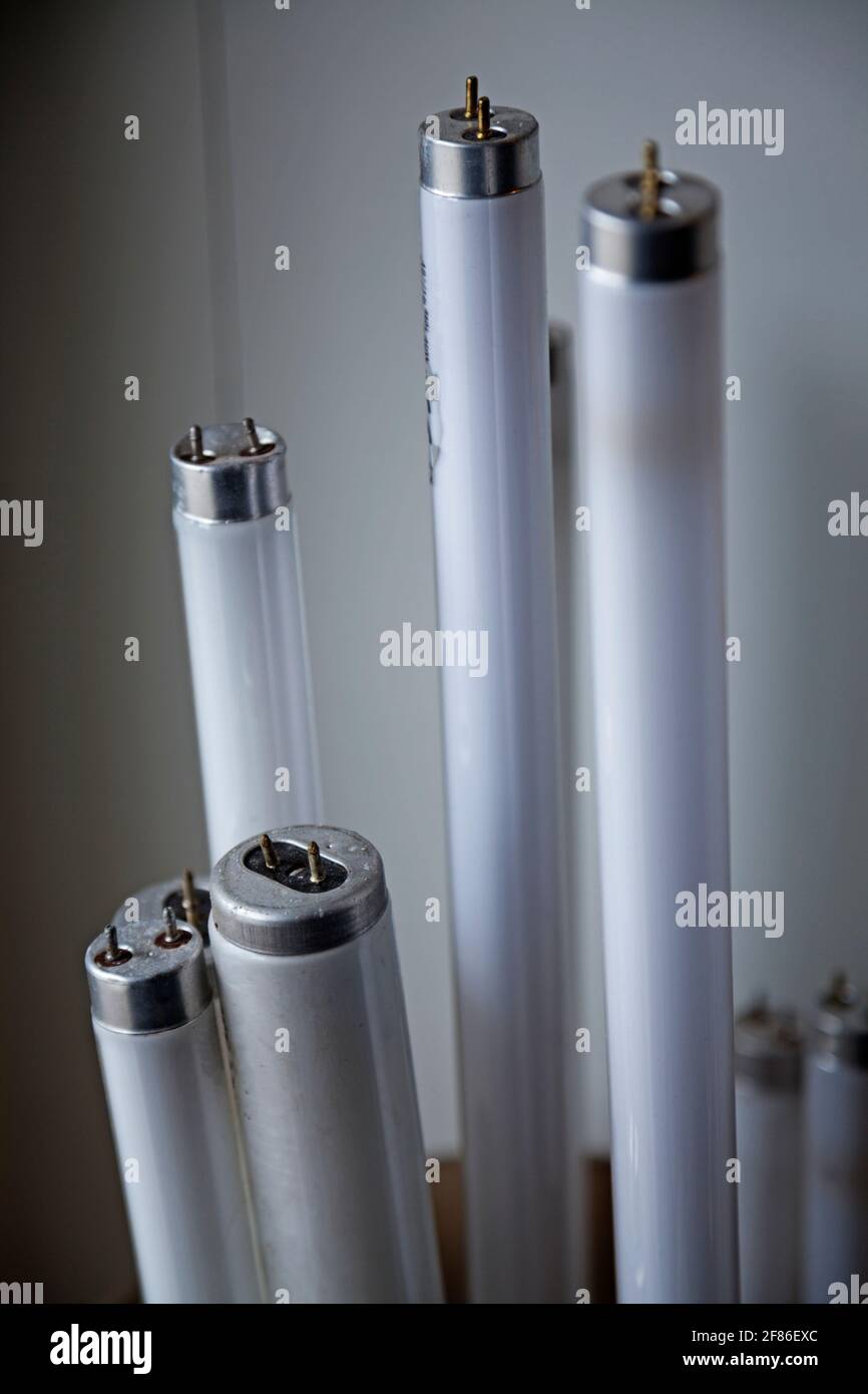 Defekte Leuchtstofflampen auf dem Weg zum Recycling Stockfoto