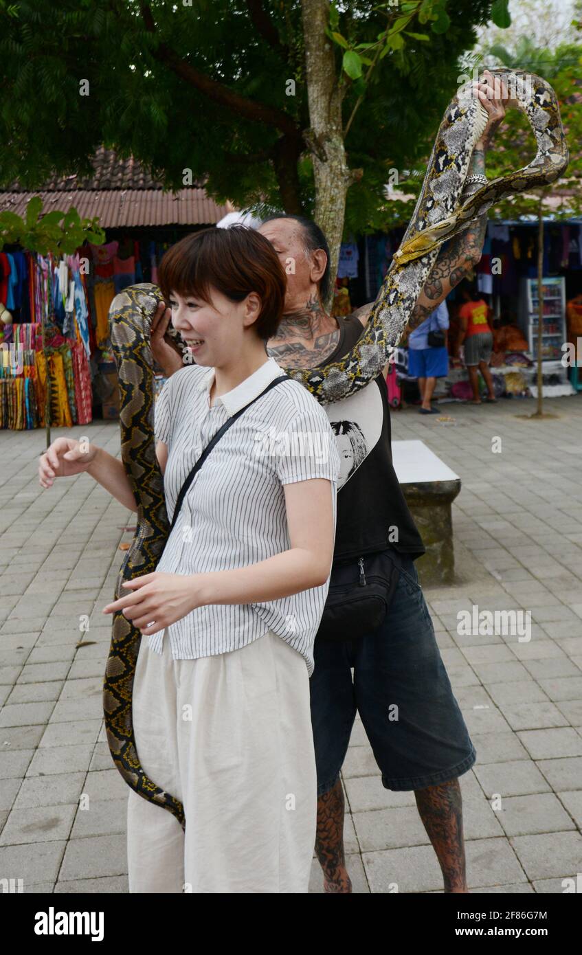 Ein japanischer Tourist, der in Bali, Indonesien, mit einer großen Pythonschlange umwickelt wird. Stockfoto