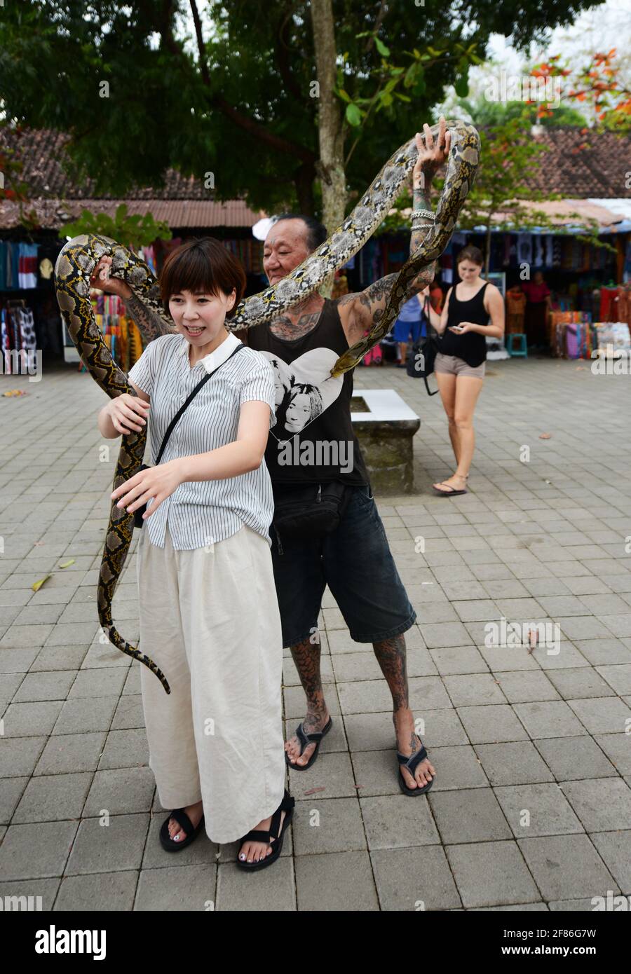 Ein japanischer Tourist, der in Bali, Indonesien, mit einer großen Pythonschlange umwickelt wird. Stockfoto