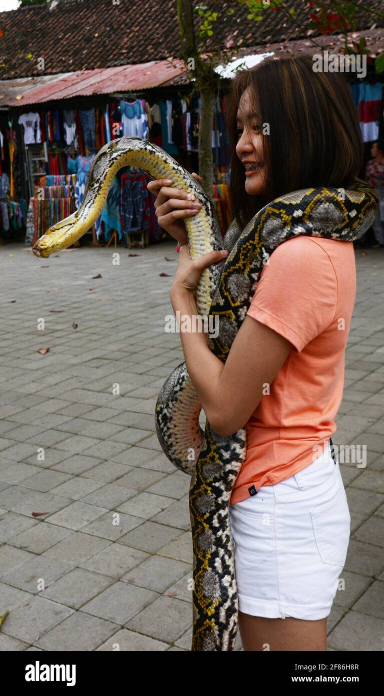 Eine asiatische Frau, die eine Python in der Hand hält. Stockfoto