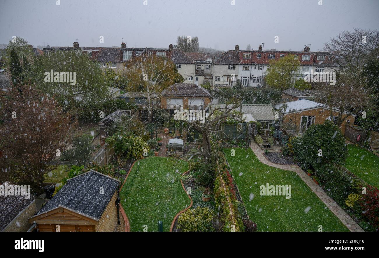 Merton, London, Großbritannien. 12. April 2021. Starker Schneefall in den Vororten im Südwesten Londons am Tag, an dem viele Geschäfte und Unternehmen nach der Sperrung von Covid-19 wieder eröffnet werden. Quelle: Malcolm Park/Alamy Live News Stockfoto