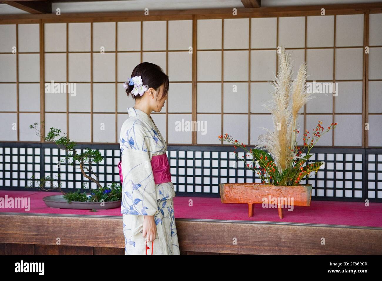 Junge Japanerin im Kimono, die sich Ikebana-Blumenarrangements ansieht Stockfoto