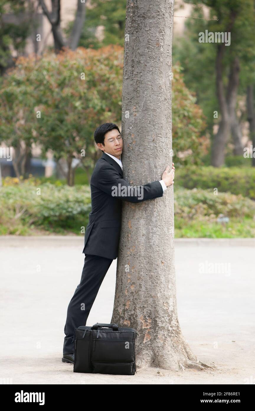 Ruhiger Geschäftsmann in Anzug umarmt Baum im Park Stockfoto