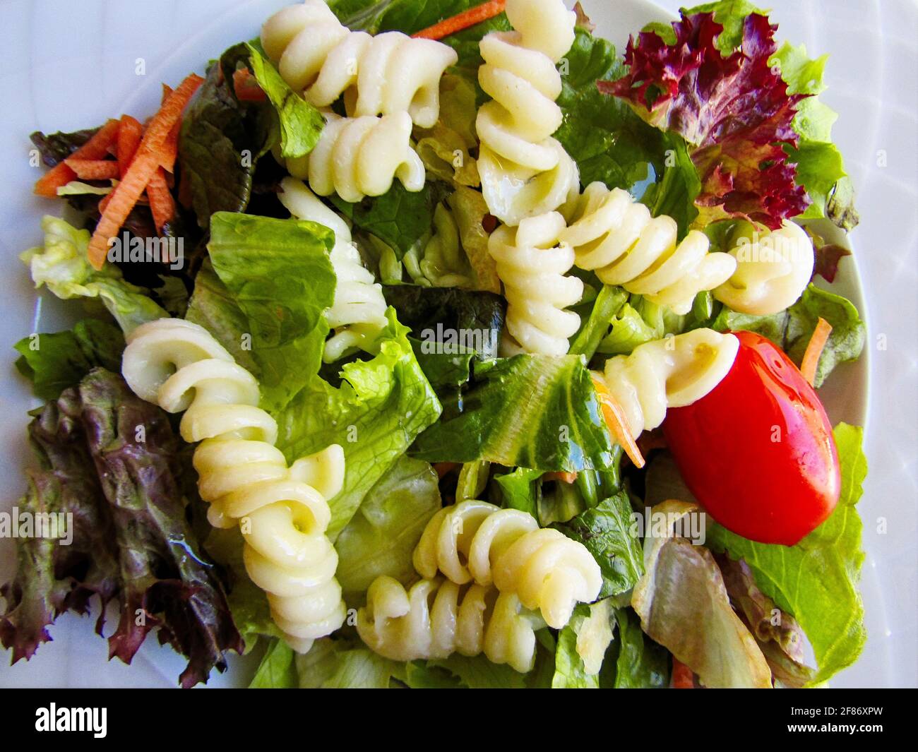 Frische Pasta Salat Stockfoto