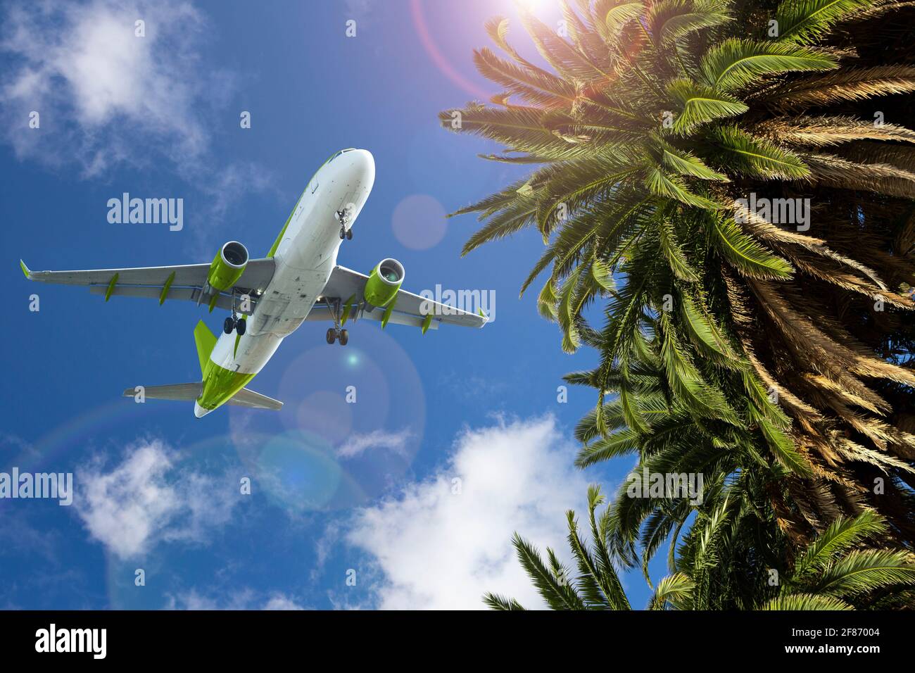 Palmen auf dem Hintergrund des Flugzeugs am Himmel. Reisekonzept für den Sommer Stockfoto