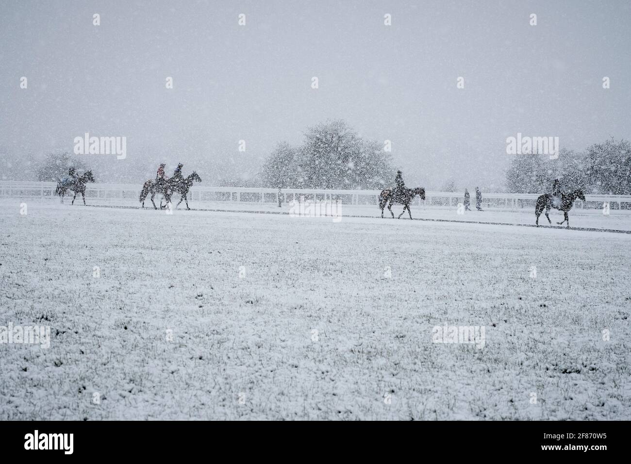 Epsom Downs, Großbritannien. April 2021. Rennpferde trainieren im Schnee, der heute Morgen über die Surrey Hills fiel. Quelle: Edward Webb/Alamy Live News Stockfoto