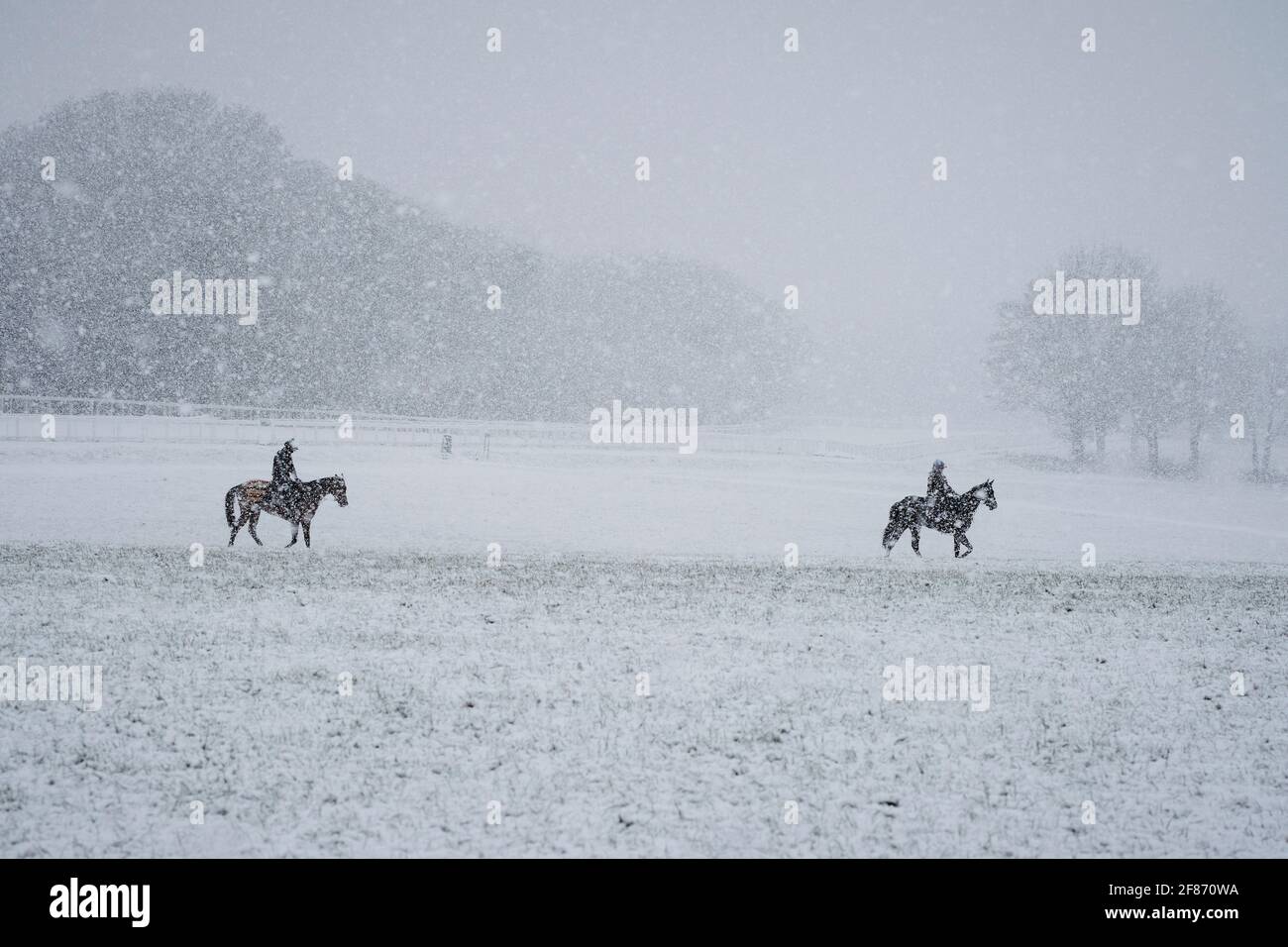 Epsom Downs, Großbritannien. April 2021. Rennpferde trainieren im Schnee, der heute Morgen über die Surrey Hills fiel. Quelle: Edward Webb/Alamy Live News Stockfoto