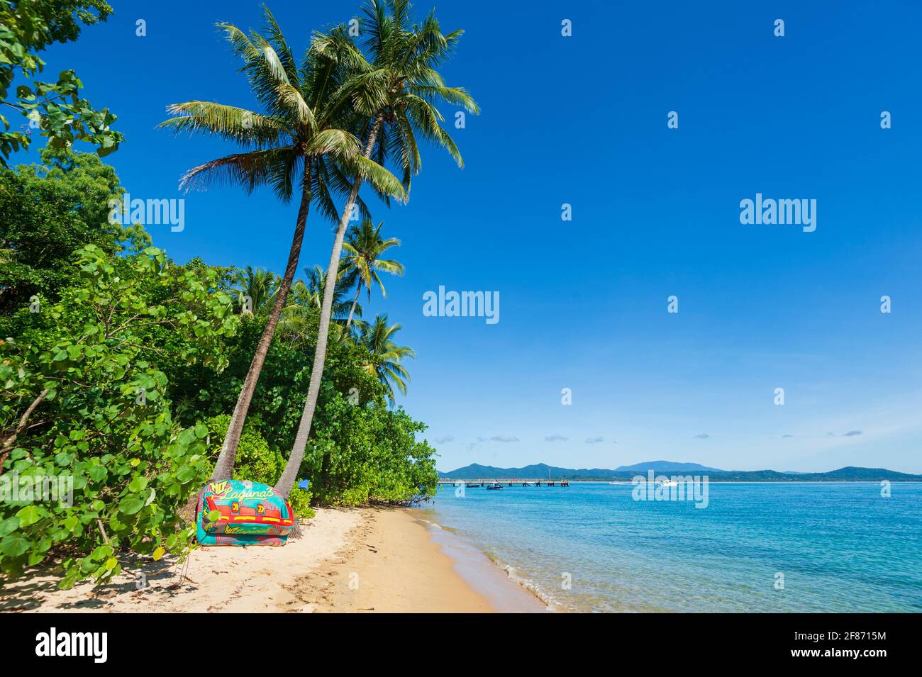 Blick auf einen idyllischen, von Palmen gesäumten Sandstrand auf Dunk Island, Queensland, QLD, Australien Stockfoto