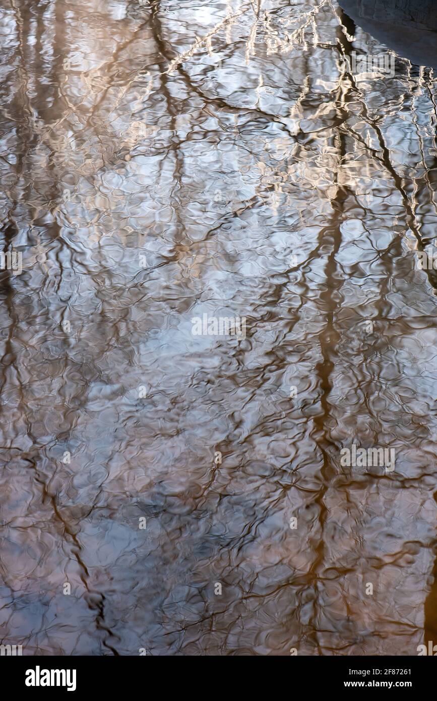 Spiegelung von Bäumen auf der Wasseroberfläche Stockfoto