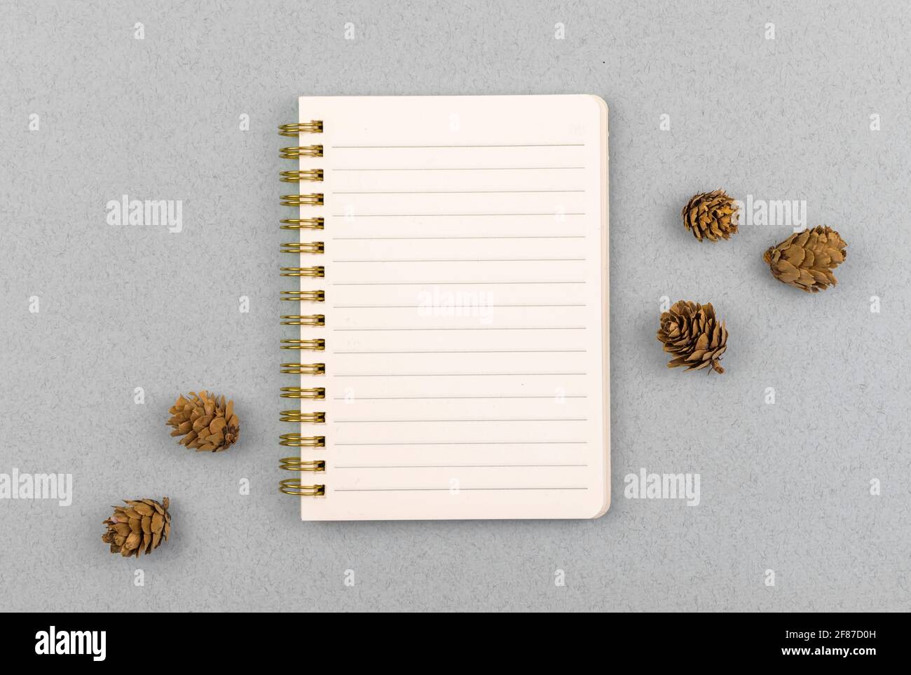 Notizbuch mit Seite in einer Linie mockup flach Lay Hintergrund, kreative Blumenfotografie mit Kopierer Platz Stockfoto