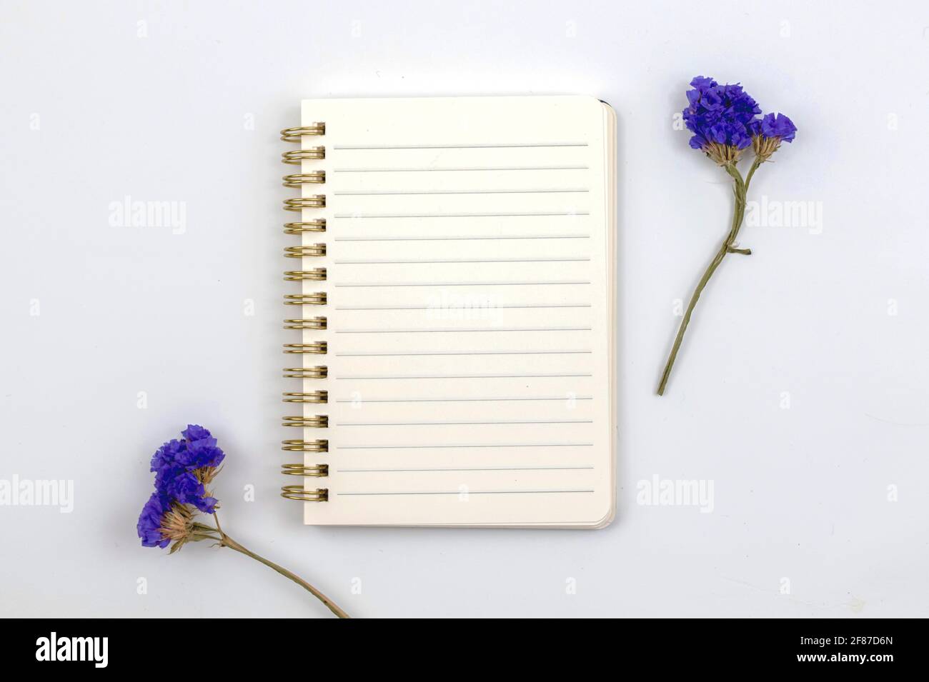 Flacher Hintergrund mit blanko gefüttertem Notizbuch und getrockneter Blume Stockfoto