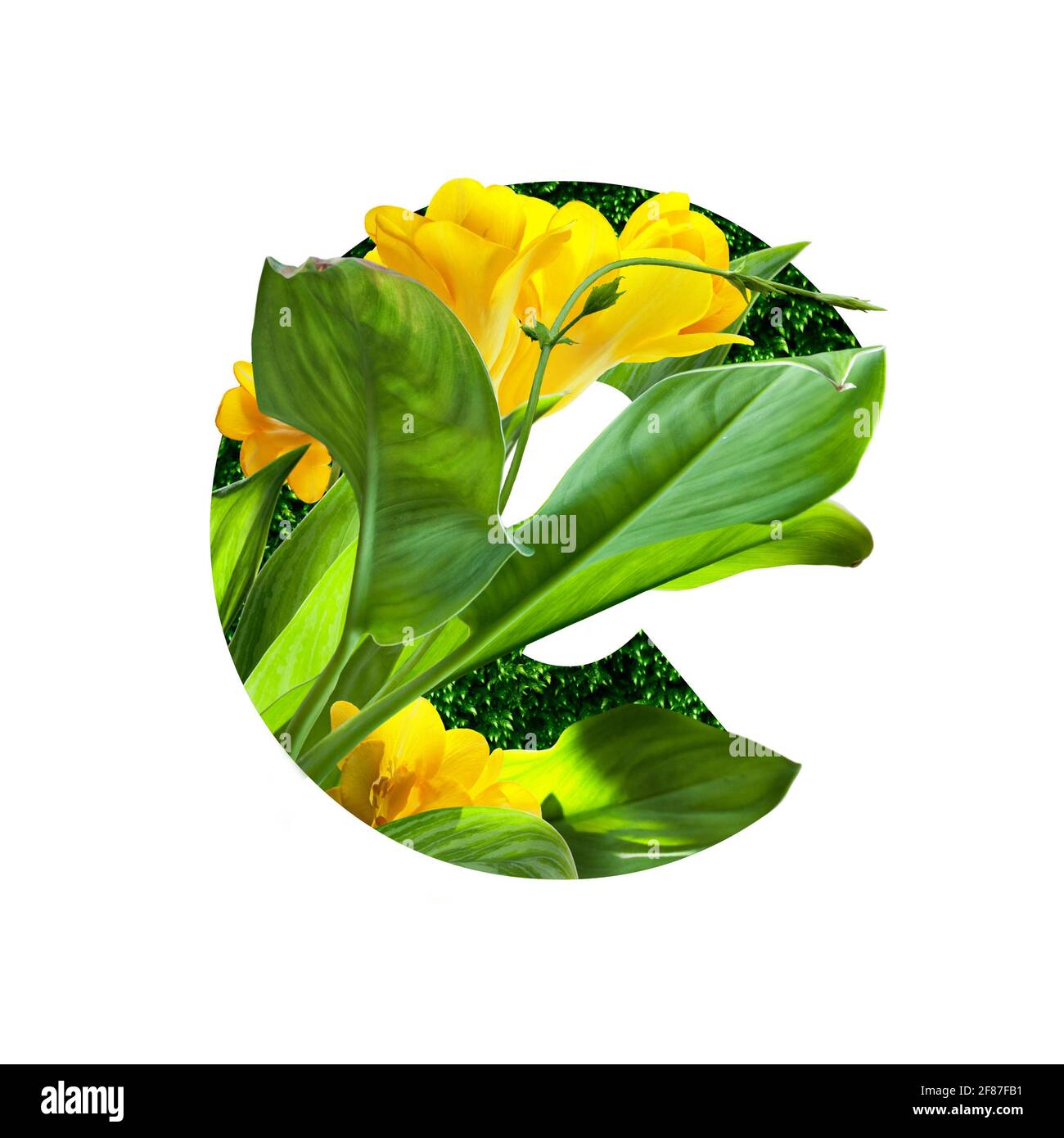 Blumenschrift Alphabet e, aus echten Blumen. Sammlung von brillanten Flora Schriftart für Ihre einzigartige Dekoration im Frühjahr, Sommer, Hochzeitseinladungen, gr Stockfoto
